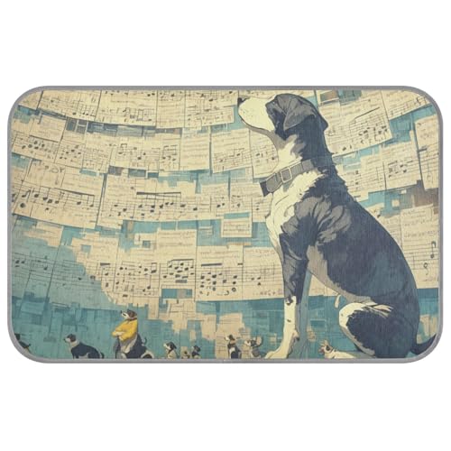 KLL Weißes schwarzes Hundebett, verspielt, kühlend, für den Sommer, selbstkühlendes Bett für Katzen, für den Außenbereich, nicht elektrisch, Manta, Refrescante para perro M KLL Weißes schwarzes Hundebett, verspielt, kühlend, für den Sommer, selbstkühlendes Bett für Katzen, für den Außenbereich, nicht elektrisch, Manta, Refrescante para perro M von KLL