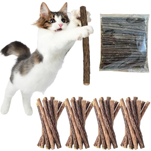 Katzenminze Sticks,40 Stück Matatabi-Kausticks,Matatabi Katzen Kauhölzer, Katzenminze Spielzeug,Katzen Kauhölzer Sticks für Katzen,Katzenminze Sticks zum Schleifen von Zähnen,Matatabi Zahnpflege von KLLJ