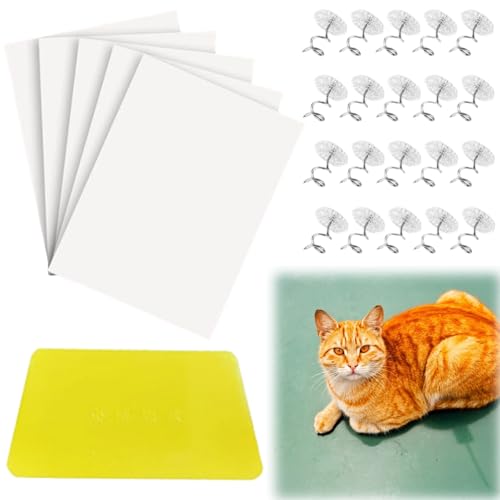 Protector de Muebles Gatos,6 Piezas Kratzfolie Katzen Selbstklebend,Katzen Kratzschutz Sofa,Kratzschutz Wand,Kratzschutzfolie,Transparent Kratzschutzfolie,Antikratz Tape Kratzschutz Protector de Muebles Gatos,6 Piezas Kratzfolie Katzen Selbstklebend,Katzen Kratzschutz Sofa,Kratzschutz Wand,Kratzschutzfolie,Transparent Kratzschutzfolie,Antikratz Tape Kratzschutz von KLLJ