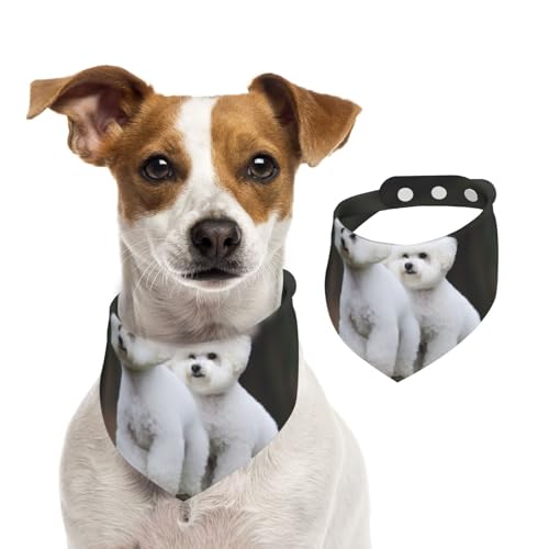 Bichon Frisé-Hundehalstuch, Sommerhalstücher für Hunde, waschbar, verstellbar, dreieckig, niedliches Haustier-Lätzchen für mittelgroße und große Hunde, Welpen und Katzen, Größe L Bichon Frisé-Hundehalstuch, Sommerhalstücher für Hunde, waschbar, verstellbar, dreieckig, niedliches Haustier-Lätzchen für mittelgroße und große Hunde, Welpen und Katzen, Größe L von KLLTYHMU