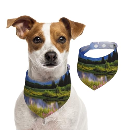 Grand Teton Hundehalstücher im Nationalpark, Sommerhalstücher für Hunde, waschbar, verstellbar, dreieckig, niedlich, für mittelgroße und große Hunde, Welpen und Katzen, Größe M von KLLTYHMU