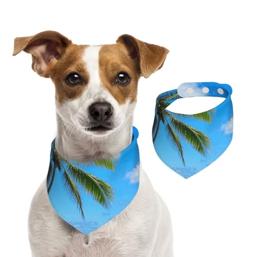 Halstücher für Hunde mit tropischem Kokosnussbaum, Sommerhalstücher für Hunde, waschbar, verstellbar, dreieckig, niedlich, für mittelgroße und große Hunde, Welpen und Katzen, Größe L Halstücher für Hunde mit tropischem Kokosnussbaum, Sommerhalstücher für Hunde, waschbar, verstellbar, dreieckig, niedlich, für mittelgroße und große Hunde, Welpen und Katzen, Größe L von KLLTYHMU