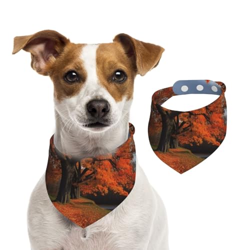 Hundehalstücher "Tree in the Fall", Sommerhalstücher für Hunde, waschbar, verstellbar, Dreieckstuch für mittelgroße und große Hunde, Welpen und Katzen, Größe L von KLLTYHMU