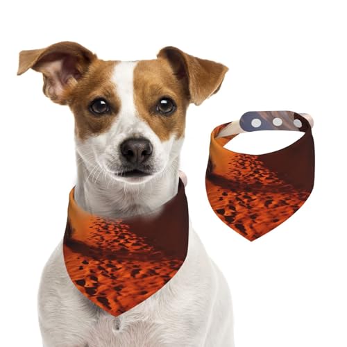 Hundehalstücher im Wüsten-Design, Sommerhalstücher für Hunde, waschbar, verstellbar, dreieckig, niedlich, für mittelgroße und große Hunde, Welpen und Katzen, Größe M Hundehalstücher im Wüsten-Design, Sommerhalstücher für Hunde, waschbar, verstellbar, dreieckig, niedlich, für mittelgroße und große Hunde, Welpen und Katzen, Größe M von KLLTYHMU