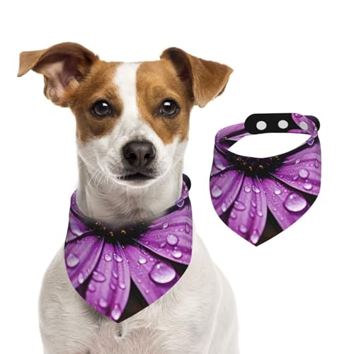 Hundehalstücher mit Gänseblümchen, Sommerhalstücher für Hunde, waschbar, verstellbar, Dreieckstuch für mittelgroße und große Hunde, Welpen und Katzen, Größe M Hundehalstücher mit Gänseblümchen, Sommerhalstücher für Hunde, waschbar, verstellbar, Dreieckstuch für mittelgroße und große Hunde, Welpen und Katzen, Größe M von KLLTYHMU