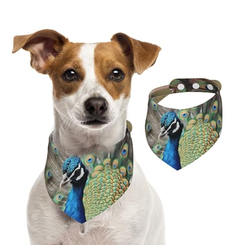 Hundehalstücher mit Pfauenmotiv, Sommerhalstücher für Hunde, waschbar, verstellbar, Dreieckstuch für mittelgroße und große Hunde, Welpen und Katzen, Größe M Hundehalstücher mit Pfauenmotiv, Sommerhalstücher für Hunde, waschbar, verstellbar, Dreieckstuch für mittelgroße und große Hunde, Welpen und Katzen, Größe M von KLLTYHMU