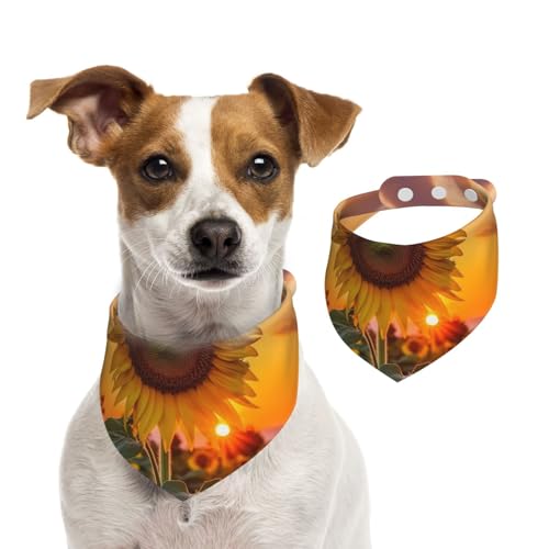 Hundehalstücher mit Sonnenblume und Sonnenuntergang, Sommerhalstücher für Hunde, waschbar, verstellbar, Dreieckstuch für mittelgroße und große Hunde, Welpen und Katzen, Größe M Hundehalstücher mit Sonnenblume und Sonnenuntergang, Sommerhalstücher für Hunde, waschbar, verstellbar, Dreieckstuch für mittelgroße und große Hunde, Welpen und Katzen, Größe M von KLLTYHMU