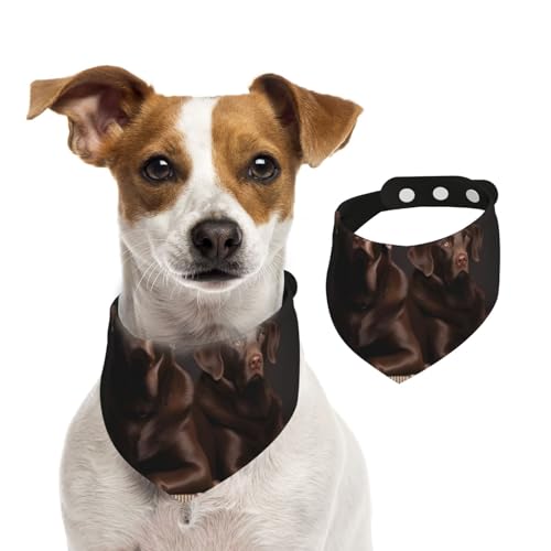 Hundehalstücher mit braunem Labrador Retriever, Sommerhalstücher für Hunde, waschbar, verstellbar, Dreieckstuch für mittelgroße und große Hunde, Welpen und Katzen, klein Hundehalstücher mit braunem Labrador Retriever, Sommerhalstücher für Hunde, waschbar, verstellbar, Dreieckstuch für mittelgroße und große Hunde, Welpen und Katzen, klein von KLLTYHMU