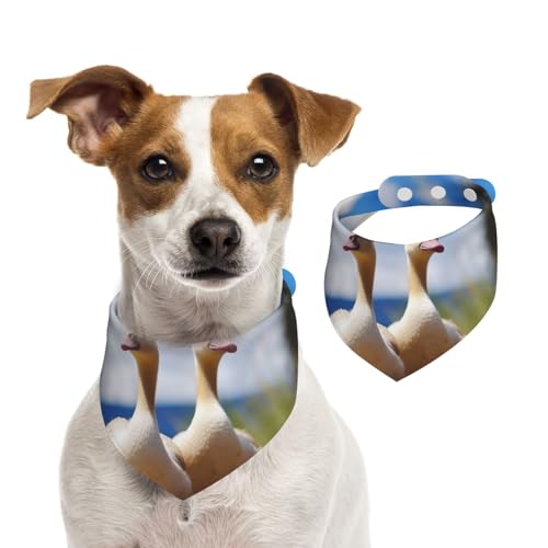 Hundehalstücher mit niedlichem Gänsemotiv, Sommerhalstücher für Hunde, waschbar, verstellbar, Dreieckstuch für mittelgroße und große Hunde, Welpen und Katzen, Größe M Hundehalstücher mit niedlichem Gänsemotiv, Sommerhalstücher für Hunde, waschbar, verstellbar, Dreieckstuch für mittelgroße und große Hunde, Welpen und Katzen, Größe M von KLLTYHMU