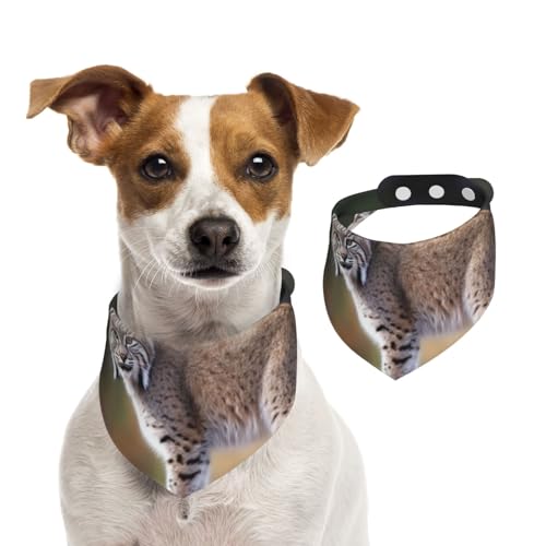Hundehalstücher mit wildem Bobcat-Motiv, Sommerhalstücher für Hunde, waschbar, verstellbar, dreieckig, niedlich, für mittelgroße und große Hunde, Welpen und Katzen, Größe L von KLLTYHMU