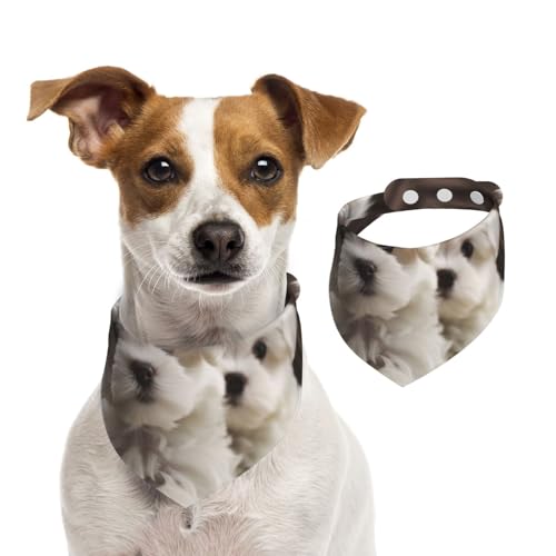 Niedliche Hundehalstücher für maltesische Welpen, Sommerhalstücher für Hunde, waschbar, verstellbar, Dreieckstuch für mittelgroße und große Hunde, Welpen und Katzen, Größe M Niedliche Hundehalstücher für maltesische Welpen, Sommerhalstücher für Hunde, waschbar, verstellbar, Dreieckstuch für mittelgroße und große Hunde, Welpen und Katzen, Größe M von KLLTYHMU