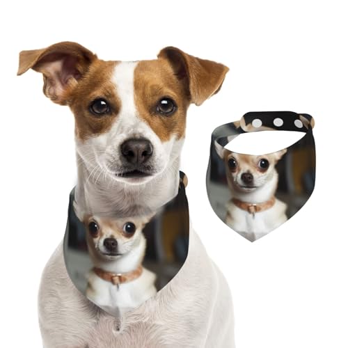 Niedliches Chihuahua-Hundehalstuch, Sommerhalstücher für Hunde, waschbar, verstellbar, Dreieckstuch für mittelgroße und große Hunde, Welpen und Katzen, Größe L von KLLTYHMU