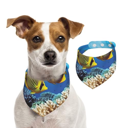 Royal Angel Fish Hundehalstuch, Sommerhalstücher für Hunde, waschbar, verstellbar, Dreieckstuch für mittelgroße und große Hunde, Welpen und Katzen, Größe M Royal Angel Fish Hundehalstuch, Sommerhalstücher für Hunde, waschbar, verstellbar, Dreieckstuch für mittelgroße und große Hunde, Welpen und Katzen, Größe M von KLLTYHMU