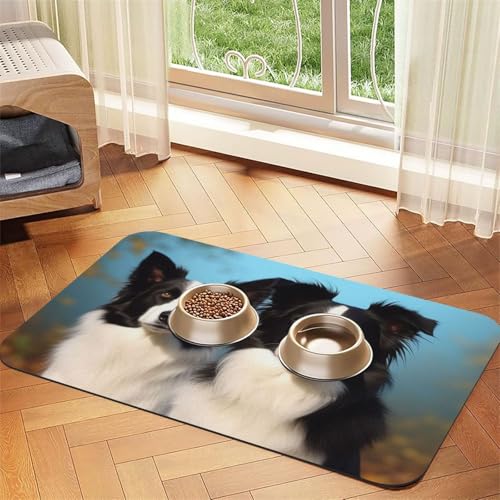 Super saugfähige Hundefuttermatte, Border Collie, Haustier-Futtermatte für Futter- und Wassernäpfe, rutschfest, wasserdicht, Platzierungspad für Böden, schnell trocknende Wasserspendermatte für Hunde Super saugfähige Hundefuttermatte, Border Collie, Haustier-Futtermatte für Futter- und Wassernäpfe, rutschfest, wasserdicht, Platzierungspad für Böden, schnell trocknende Wasserspendermatte für Hunde von KLLTYHMU