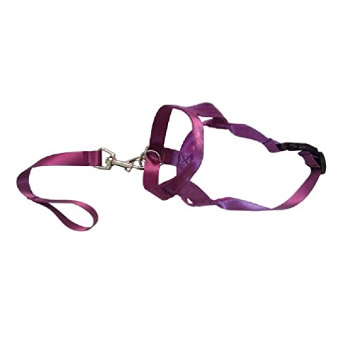 Elastischer Maulkorb für Hunde, Anti-Biss-Stopp-Bellen, kleine und große Hunde, Hunde-Zubehör Elastischer Maulkorb für Hunde, Anti-Biss-Stopp-Bellen, kleine und große Hunde, Hunde-Zubehör von KLOVA