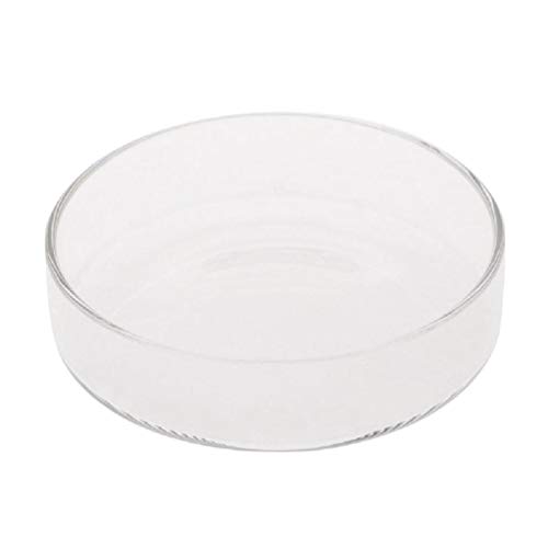 KLOVA Garnelen & Fische Aquarium Futterspender Glas Futternapf Schwimmend 6 Größen 3,9-9,8 cm Transparent von KLOVA
