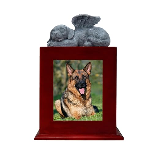 KLOVA Urnen Für Die Beerdigung Von Hunden Aus Holz Für Asche. Gedenkurnen Aus Holz Für Haustiere von KLOVA