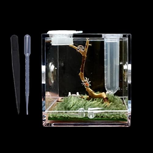 Kleine Reptilien Zuchtbox Transparenter Acryl Käfig Lebensraum Insekten Futterbox Terrarium Für Ausbruchsicher Zum Springen Spinnen Lebensräume Und Terrarien Set von KLOVA