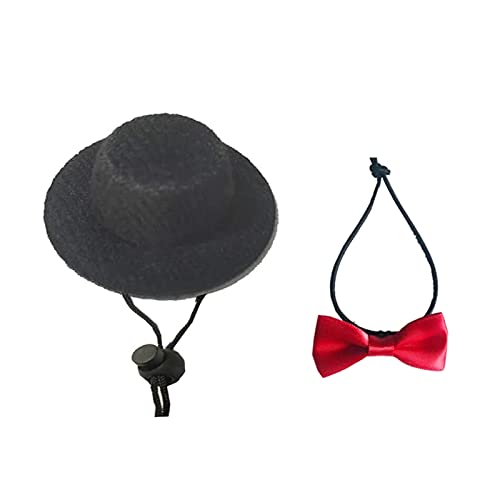 Traktionsseil, Hut, Krawatte, weiches Leder, Bartdrachen-Geschirr, Leine, Halloween-Kostüm, Kleidung, Haustierkostüm, Kleidung Traktionsseil, Hut, Krawatte, weiches Leder, Bartdrachen-Geschirr, Leine, Halloween-Kostüm, Kleidung, Haustierkostüm, Kleidung von KLOVA