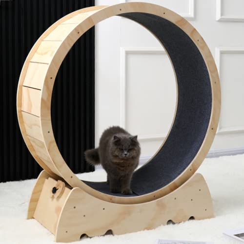 Katze, die Rad, Katze-Übungsrad Katze-Rad-Übungsgerät für Innenkatzen Katze-Übungsrad-Laufband mit Teppich-Laufbahn natürliche Holzfarbe Katze-Rad, 32.3×15.7×40inch Laufen lässt von KLUFO