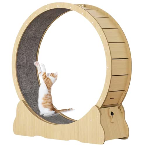 Katze Laufrad Katzenrad Rundes Rad Stil Katze Übung Rad Katzenspielzeug, Kätzchen Spielzeug, Indoor-Katzenspielzeug Katze Übung Rad mit Teppich Laufbahn (93×32×15cm, Holz Farbe) von KLUFO