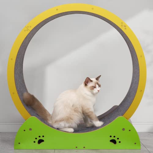 Katze-Rad-Übungsgerät für Innenkatzen, großes Katze-Laufrad, Katze-Laufband-Rad-Übungsspielzeug niedliche Katze-Möbel-Katzen-Trainingsspiel Katze-Rad-Übungsgerät für Innenkatzen, großes Katze-Laufrad, Katze-Laufband-Rad-Übungsspielzeug niedliche Katze-Möbel-Katzen-Trainingsspiel von KLUFO