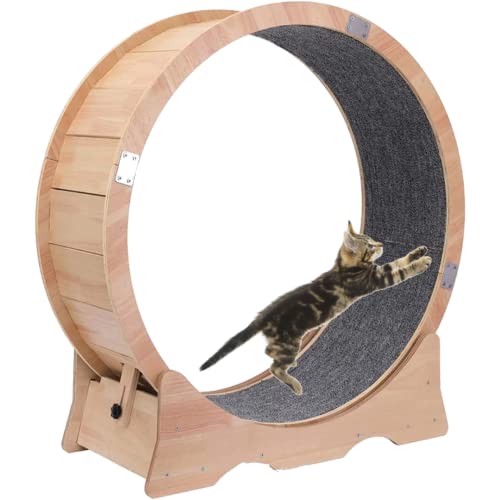 Katze Übung Rad Indoor-Laufband mit Teppich Katze Start-und Landebahn, Fitness Gewicht-Verlust-Gerät, Katze läuft Rad, Haustier Spielzeug, Large-Sized Katze Rad von KLUFO