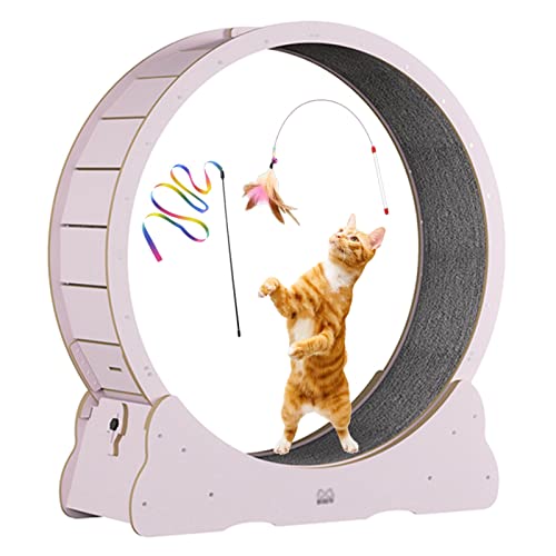 Katze Übung Rad Laufband mit Katze Wand Spielzeug, hölzerne rosa Katze Rad Laufspielzeug für Kätzchen, Indoor große Katze Laufrad leise (L, Innendurchmesser 90cm) von KLUFO