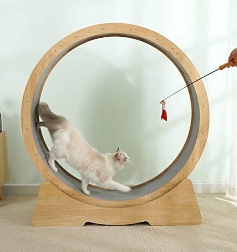 Katze-Übungsrad für Innenkatzen,Innendurchmesser 42.5" große Katze, die Räder läuft,einfach zusammengebautes Katzelaufbandrad mit dem Verriegelungsmechanismus,der für die meisten Katzen verwendbar ist von KLUFO