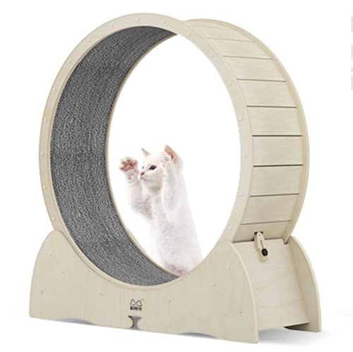 Katzen-Laufrad für den Innenbereich, Katzenlaufband mit Verriegelungsmechanismus, keine Installation, geräuschlose TPE-Rolle, niedliches Katzenlaufrad für Haustierverlust und tägliche Bewegung von KLUFO