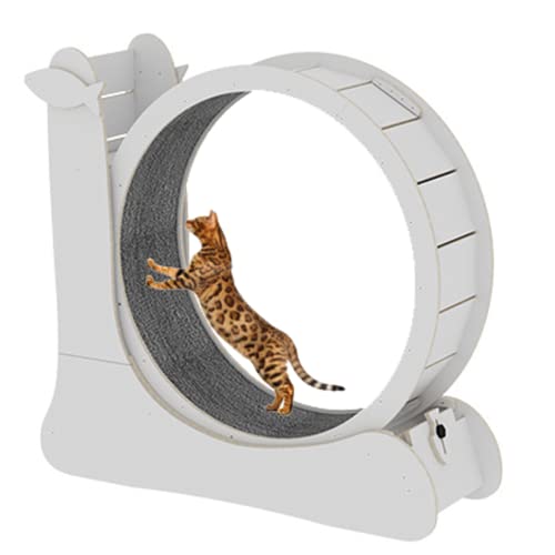 Katzen-Trainingsrad, Sicherheitsverriegelungsdesign Großes Katzenlaufband mit Teppichlaufbahn, Kitty Cat Sport Spielzeug, Fitness Gewichtsverlustgerät für Katzen, Katzenlaufrad Haustiermöbel (Weiß) Katzen-Trainingsrad, Sicherheitsverriegelungsdesign Großes Katzenlaufband mit Teppichlaufbahn, Kitty Cat Sport Spielzeug, Fitness Gewichtsverlustgerät für Katzen, Katzenlaufrad Haustiermöbel (Weiß) von KLUFO