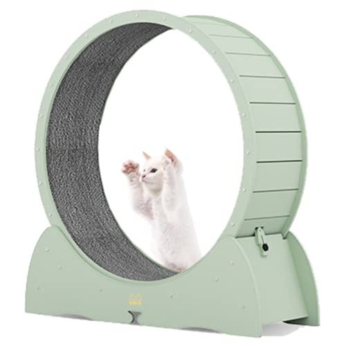 Katzenlaufrad Innen, Katzenlaufband mit Verriegelungsmechanismus Keine Installation, TPE Geräuschlose Rolle, Niedliches Katzenlaufrad für Haustierverlust und tägliche Übung (Grün) von KLUFO