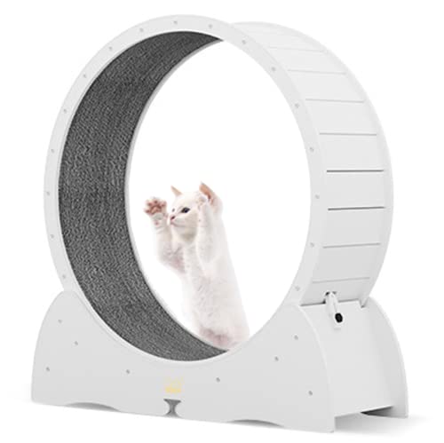 Katzenlaufrad Innen, Katzenlaufband mit Verriegelungsmechanismus Keine Installation, TPE Geräuschlose Rolle, Niedliches Katzenlaufrad für Haustierverlust und tägliche Übung (Weiß) von KLUFO