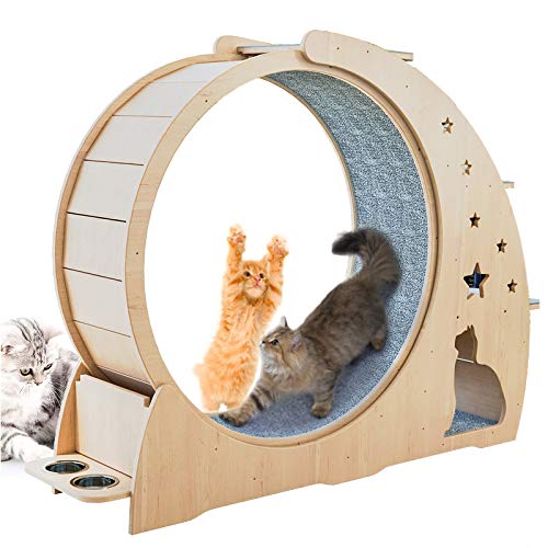Katzensport Laufrad, Katzenrad Holz-Kletterrahmen, Katzenstreu Fitness-Rad, überdimensionale Rolle Katze Indoor Activity Center, groß Katzensport Laufrad, Katzenrad Holz-Kletterrahmen, Katzenstreu Fitness-Rad, überdimensionale Rolle Katze Indoor Activity Center, groß von KLUFO