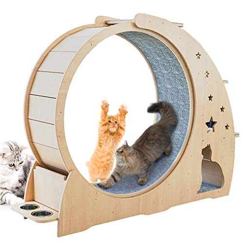 Katzensport-Laufrad, Katzenrad Holz-Kletterrahmen, Katzenstreu-Fitness-Rad, überdimensionale Rolle Katze Indoor Activity Center, klein von KLUFO