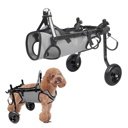 Hunderollstuhl für Rückenbeine, Zweirad-Hinterbein-Rollstuhl, Größe M, verstellbare Hundebeinbandage und Hüftstütze für Hinterbeine, Hinterbeine, Gliedmaßen, Behinderte, Arthritis, gelähmte verletzte Hunderollstuhl für Rückenbeine, Zweirad-Hinterbein-Rollstuhl, Größe M, verstellbare Hundebeinbandage und Hüftstütze für Hinterbeine, Hinterbeine, Gliedmaßen, Behinderte, Arthritis, gelähmte verletzte von KMQRDZi