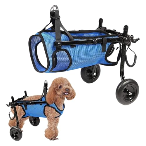 Hunderollstuhl für Rückenbeine, Zweirad-Hinterbein-Rollstuhl Größe M, verstellbare Hundebeinbandage und Hüftstütze für Hinterbein, Hinterbeine, Gliedmaßen, Behinderte, Arthritis, gelähmte verletzte Hunderollstuhl für Rückenbeine, Zweirad-Hinterbein-Rollstuhl Größe M, verstellbare Hundebeinbandage und Hüftstütze für Hinterbein, Hinterbeine, Gliedmaßen, Behinderte, Arthritis, gelähmte verletzte von KMQRDZi