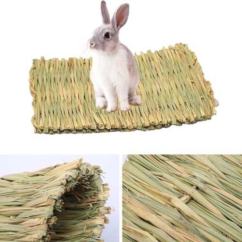 KMQRDZi 2 Stück Handgewebt Kaninchen Grasmatte, Haustier-Grasmatte, Handgewebte Strohmatten，Geeignet für Kaninchen, Hamster, Niederländische Ratten, Meerschweinchen und Kätzchen (28 * 20cm) von KMQRDZi