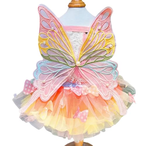 Ballettkleid für Haustiere, Welpen, Katzen, Regenbogen-Schmetterling, Spitze Ballettkleid für Haustiere, Welpen, Katzen, Regenbogen-Schmetterling, Spitze von KMXMINOZY