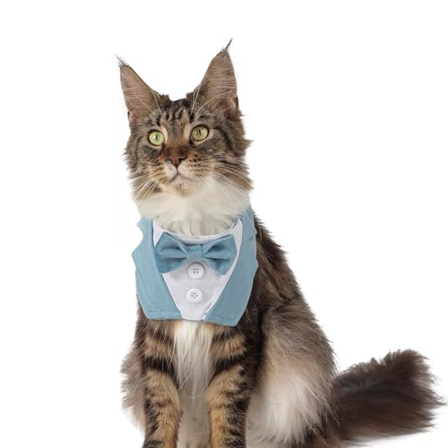 Dreieckiger Plüsch-Schal für Haustiere, Speichelschal, mit Klettverschluss, für Hunde und Katzen Dreieckiger Plüsch-Schal für Haustiere, Speichelschal, mit Klettverschluss, für Hunde und Katzen von KMXMINOZY