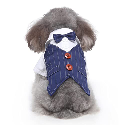 Kostüm für Hunde mit Fliege, Smoking, Gentleman, Hochzeit, Prinz Kostüm für Hunde mit Fliege, Smoking, Gentleman, Hochzeit, Prinz von KMXMINOZY