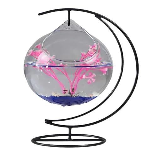 Mini-Fischbecken zum Aufhängen, Mond, klares Glas, für Aquarien von KMXMINOZY