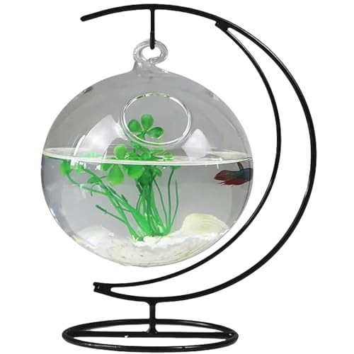 Mini-Fischbecken zum Aufhängen, Mond, klares Glas, für Aquarien Mini-Fischbecken zum Aufhängen, Mond, klares Glas, für Aquarien von KMXMINOZY