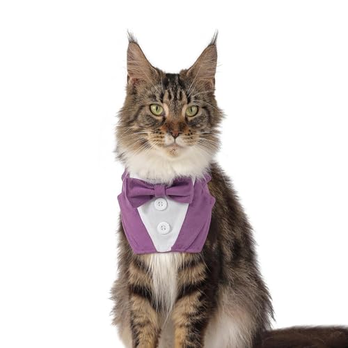 Modischer hübscher Dreieckstuch aus Plüsch, Klettverschluss, für Hunde und Katzen Modischer hübscher Dreieckstuch aus Plüsch, Klettverschluss, für Hunde und Katzen von KMXMINOZY