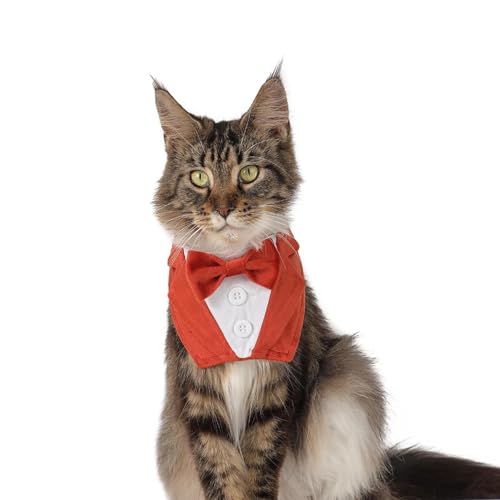 Modischer hübscher Dreieckstuch aus Plüsch, Klettverschluss, für Hunde und Katzen Modischer hübscher Dreieckstuch aus Plüsch, Klettverschluss, für Hunde und Katzen von KMXMINOZY