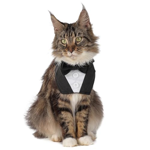 Modischer hübscher Dreieckstuch aus Plüsch, Klettverschluss, für Hunde und Katzen Modischer hübscher Dreieckstuch aus Plüsch, Klettverschluss, für Hunde und Katzen von KMXMINOZY