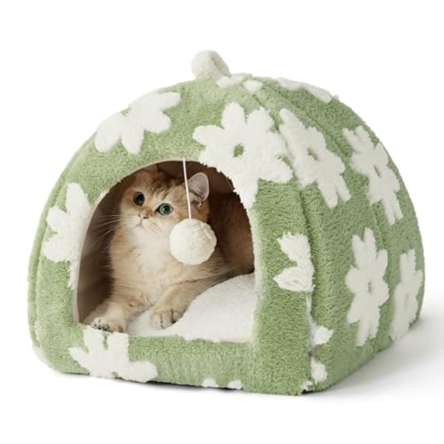 Niedliches Katzenbett - 2-in-1 Katzenhöhlenbett für Kätzchen und kleine Haustiere mit abnehmbaren und waschbaren gepolsterten Kissen, bequemes Kätzchen-Zelt mit rutschfester Unterseite Niedliches Katzenbett - 2-in-1 Katzenhöhlenbett für Kätzchen und kleine Haustiere mit abnehmbaren und waschbaren gepolsterten Kissen, bequemes Kätzchen-Zelt mit rutschfester Unterseite von KMXMINOZY
