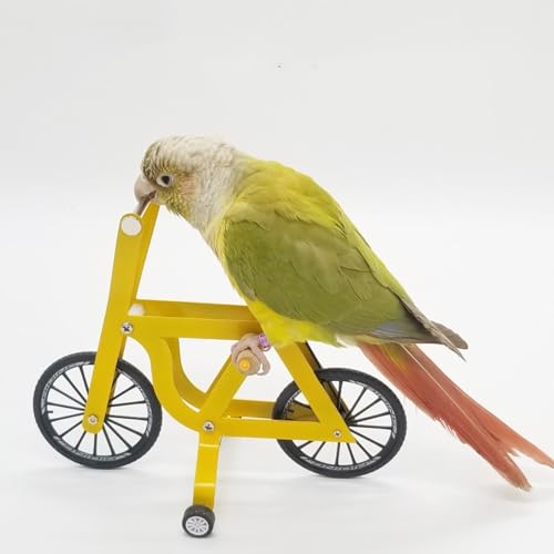 Papagei – Vogel-Trainingspuzzle, Fahrrad, Tisch-Stunt-Requisiten, Spielzeug Papagei – Vogel-Trainingspuzzle, Fahrrad, Tisch-Stunt-Requisiten, Spielzeug von KMXMINOZY