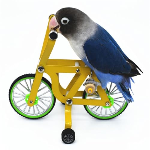 Papagei – Vogel-Trainingspuzzle, Fahrrad, Tisch-Stunt-Requisiten, Spielzeug Papagei – Vogel-Trainingspuzzle, Fahrrad, Tisch-Stunt-Requisiten, Spielzeug von KMXMINOZY
