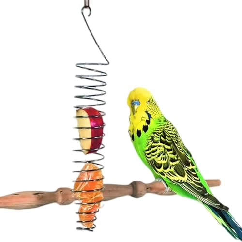 Pet Papagei – Vogel Edelstahl Obstkorb Futterregal Futterkorb Futterkorb Spielzeug Pet Papagei – Vogel Edelstahl Obstkorb Futterregal Futterkorb Futterkorb Spielzeug von KMXMINOZY